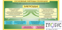 Стенд "Методы селекции и биотехнологии" - «globural.ru» - Тихорецк
