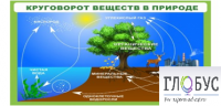 Стенд "Круговорот веществ" - «globural.ru» - Тихорецк