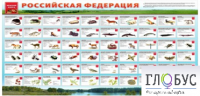 Стенд "Красная книга РФ" - «globural.ru» - Тихорецк