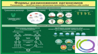 Стенд "Формы размножения организмов" - «globural.ru» - Тихорецк