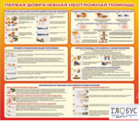 Стенд "Первая доврачебная неотложная помощь" - «globural.ru» - Тихорецк