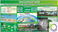 Стенд "Экология. Антропогенное воздействие на биосферу" - «globural.ru» - Тихорецк