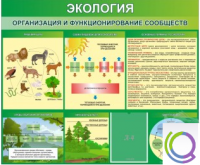 Стенд "Экология. Организация и функционирование сообществ" - «globural.ru» - Тихорецк