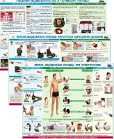 Комплект плакатов "Оказание первой доврачебной медицинской помощи" - «globural.ru» - Тихорецк