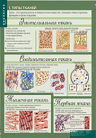 Биология 8-9 класс. Человек. (комплект таблиц) - «globural.ru» - Тихорецк