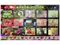 Комплект оборудования "Живой уголок" (растения) с тифлопереводом и сурдокомментариями - «globural.ru» - Тихорецк