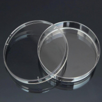 Чашка Петри стеклянная с крышкой 100х20 - «globural.ru» - Тихорецк