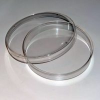 Чашка Петри пластиковая с крышкой  60 мл. - «globural.ru» - Тихорецк