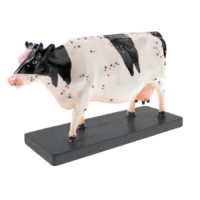 Электрифицированный макет коровы на каркасе - «globural.ru» - Тихорецк