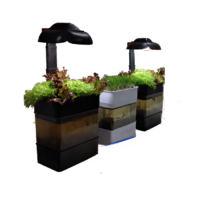 Учебная установка "Аквапоника"  - «globural.ru» - Тихорецк