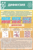 Стенд "Диффузия" - «globural.ru» - Тихорецк