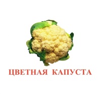 Карточки Домана "Овощи-Зелень-2" - «globural.ru» - Тихорецк