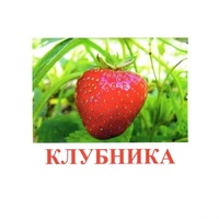 Карточки Домана "Ягоды-1" - «globural.ru» - Тихорецк