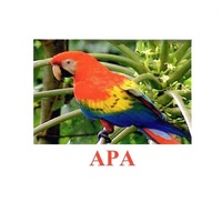 Карточки Домана "Птицы-2" - «globural.ru» - Тихорецк