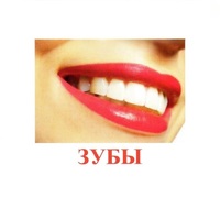 Карточки Домана "Части тела" - «globural.ru» - Тихорецк