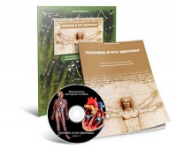 Электронное наглядное пособие «Человек и его здоровье» - «globural.ru» - Тихорецк