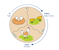 Развивающий пазл Навито "Эволюция" - «globural.ru» - Тихорецк