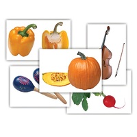 Набор предметных картинок "Овощи. Музыкальные инструменты" - «globural.ru» - Тихорецк