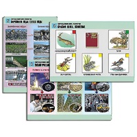 Комплект таблиц для  начальной школы "Окружающий мир. Экология" - «globural.ru» - Тихорецк