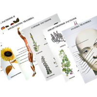 Таблицы по природоведению 1-3 класс - «globural.ru» - Тихорецк