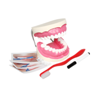 Игровой комплект "Чистим зубы" - «globural.ru» - Тихорецк