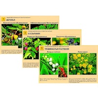 Гербарий фотографический "Ядовитые растения" - «globural.ru» - Тихорецк
