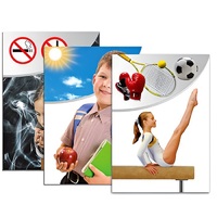 Модель-аппликация "Здоровье человека" - «globural.ru» - Тихорецк