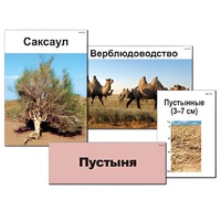 Модель-аппликация "Природные зоны России" - «globural.ru» - Тихорецк