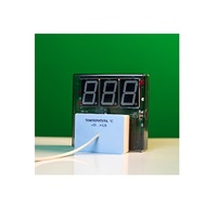 Датчик температуры с независимой индикацией (термометр демонстрационный) - «globural.ru» - Тихорецк