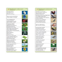Комплект карточек (10) "Обучающий калейдоскоп. Природа" - «globural.ru» - Тихорецк