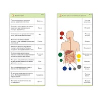 Комплект карточек (10) "Обучающий калейдоскоп. Человек" - «globural.ru» - Тихорецк