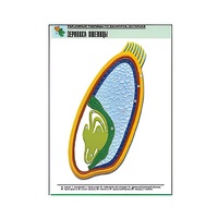 Рельефная таблица "Зерновка пшеницы" (формат А1, матовое ламинир.) - «globural.ru» - Тихорецк