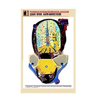 Рельефная таблица "Долька печени. Макро-микростроение" (формат А1, матовое ламинир.) - «globural.ru» - Тихорецк