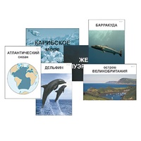 Модель-аппликация "Океаны. Знакомство" (ламинированная) - «globural.ru» - Тихорецк