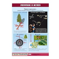 Таблица демонстрационная "Ориентирование на местности" (винил 70х100) - «globural.ru» - Тихорецк