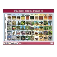 Таблица демонстрационная "Почвы, растения и животные природных зон" (винил 70x100) - «globural.ru» - Тихорецк