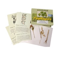 Гербарий "Систематика растений. Семейство Бобовые. Злаки" (раздаточный) - «globural.ru» - Тихорецк