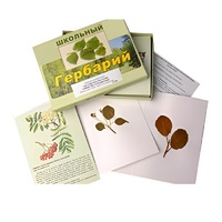 Гербарий "Систематика растений. Семейство Розоцветные" (раздаточный) - «globural.ru» - Тихорецк