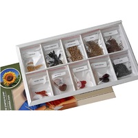 Коллекция "Плоды сельскохозяйственных растений" (вариант 2) - «globural.ru» - Тихорецк