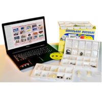 Коллекция натурально-интерактивная "Пластмассы" - «globural.ru» - Тихорецк