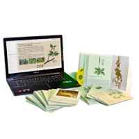 Гербарий натурально-интерактивный "Дикорастущие растения" - «globural.ru» - Тихорецк