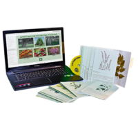 Гербарий натурально-интерактивный "Лекарственные растения" - «globural.ru» - Тихорецк