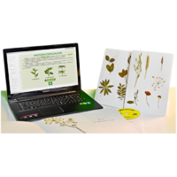 Гербарий натурально-интерактивный "Морфология растений" - «globural.ru» - Тихорецк