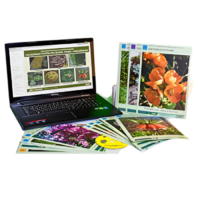 Гербарий натурально-интерактивный "Основные группы растений. Грибы. Лишайники" - «globural.ru» - Тихорецк