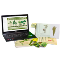 Гербарий натурально-интерактивный "Растительные сообщества. Лес" - «globural.ru» - Тихорецк