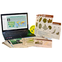 Гербарий натурально-интерактивный к курсу основ общей биологии - «globural.ru» - Тихорецк