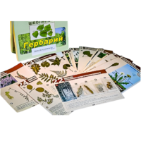 Гербарий к курсу основ общей биологии - «globural.ru» - Тихорецк