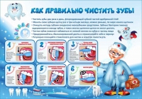 Стенд "Как правильно чистить зубы" - «globural.ru» - Тихорецк