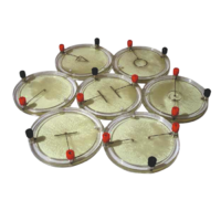 Демонстрационный комплект «Силовые линии электрического поля разных систем зарядов» - «globural.ru» - Тихорецк