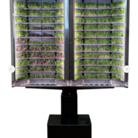 Вертикальная  ферма «Моя микрозелень» комплектация  «Театро настенная» - «globural.ru» - Тихорецк